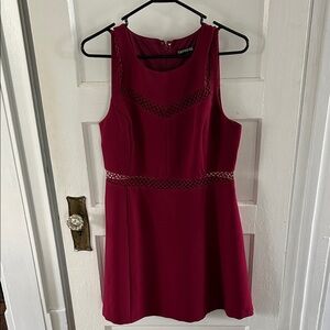 Express Burgundy Sleeveless Mini Dress